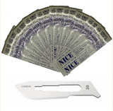 10 x NICE No.20 Sterile Carbon Steel CS20